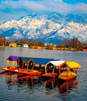 Shikaras moored on Dal Lake below snow peaks