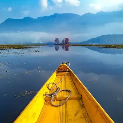 Shikara bow gliding across Dal Lake