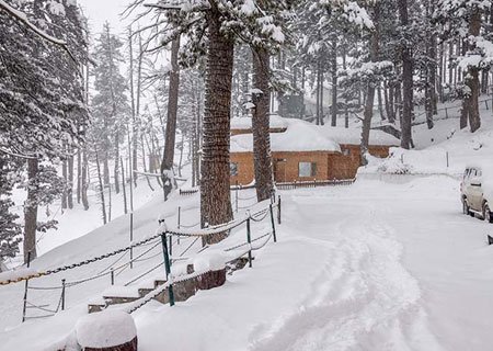 Snow-covered pines and huts at Gulmarg